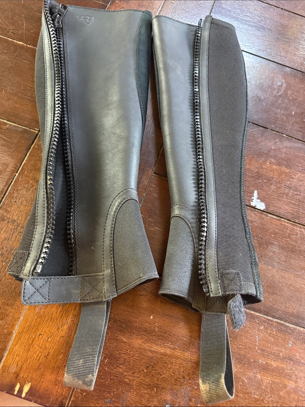 Ariat Half Chaps - Picture 4 of 7